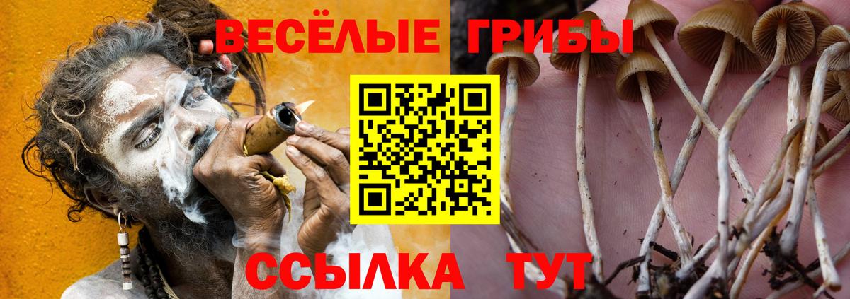 Галлюциногенные грибы мухоморы  Псилоцибиновые грибы мицелий  Вход с VPN  Зеленодольск 